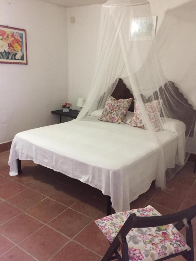 Agroturistica Villa Mantineo 梵蒂冈角 外观 照片